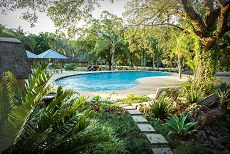 Main Pool