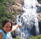 Forest Cruise Waterfall