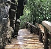Graskop Gorge Lift Walkway