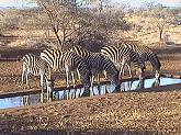 Satara Web Cam